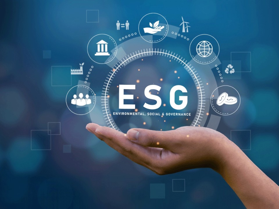 Role of Auditing in ESG (Environmental, Social and Governance) Reporting