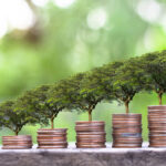 The Role of Chartered Accountants in Ensuring CSR Compliance in India