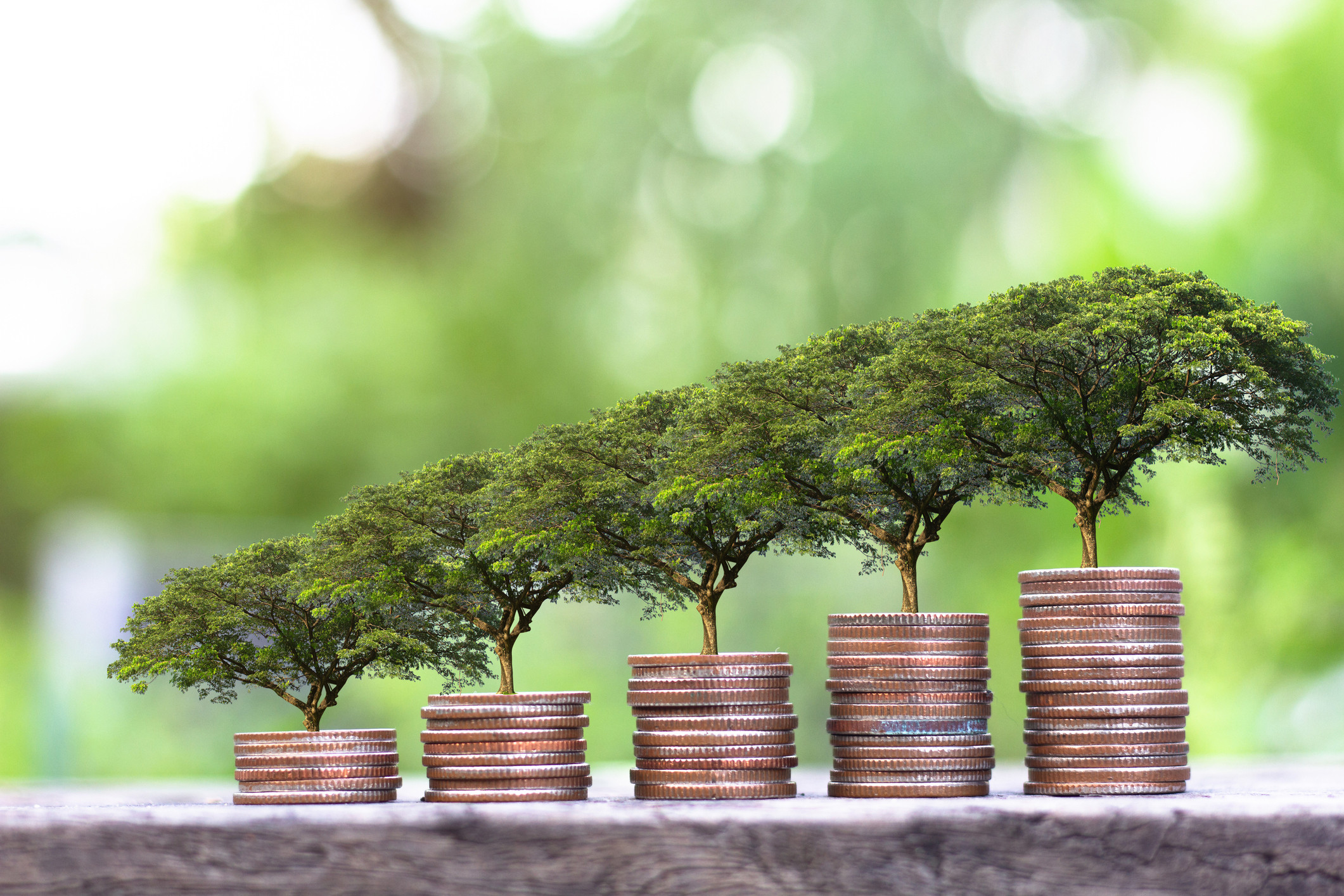 The Rise of Green Finance: Investing in a Sustainable Future